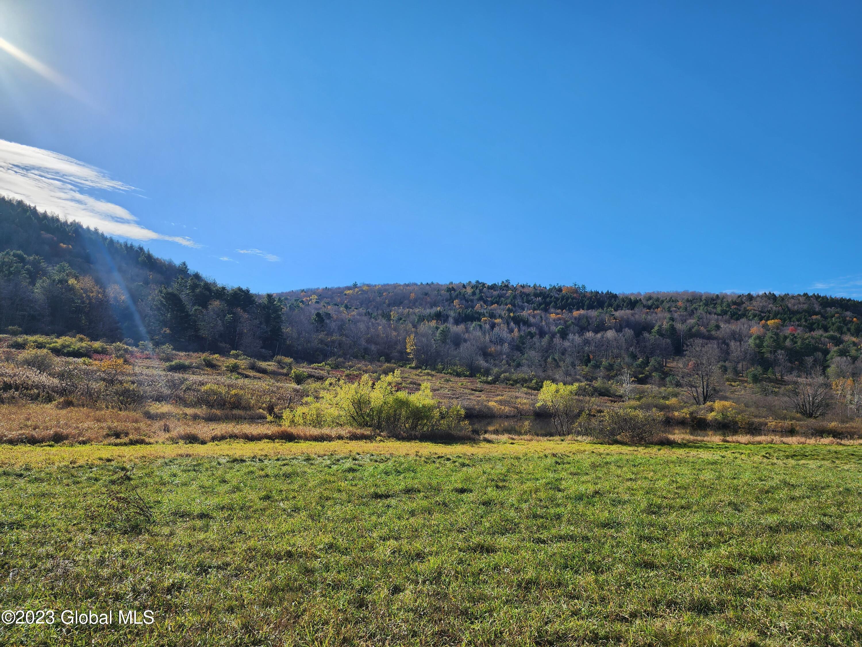 104 Willow Springs Rd Summit Charlotteville, NY 12036 - Photo 14 of 18 20231025_100959