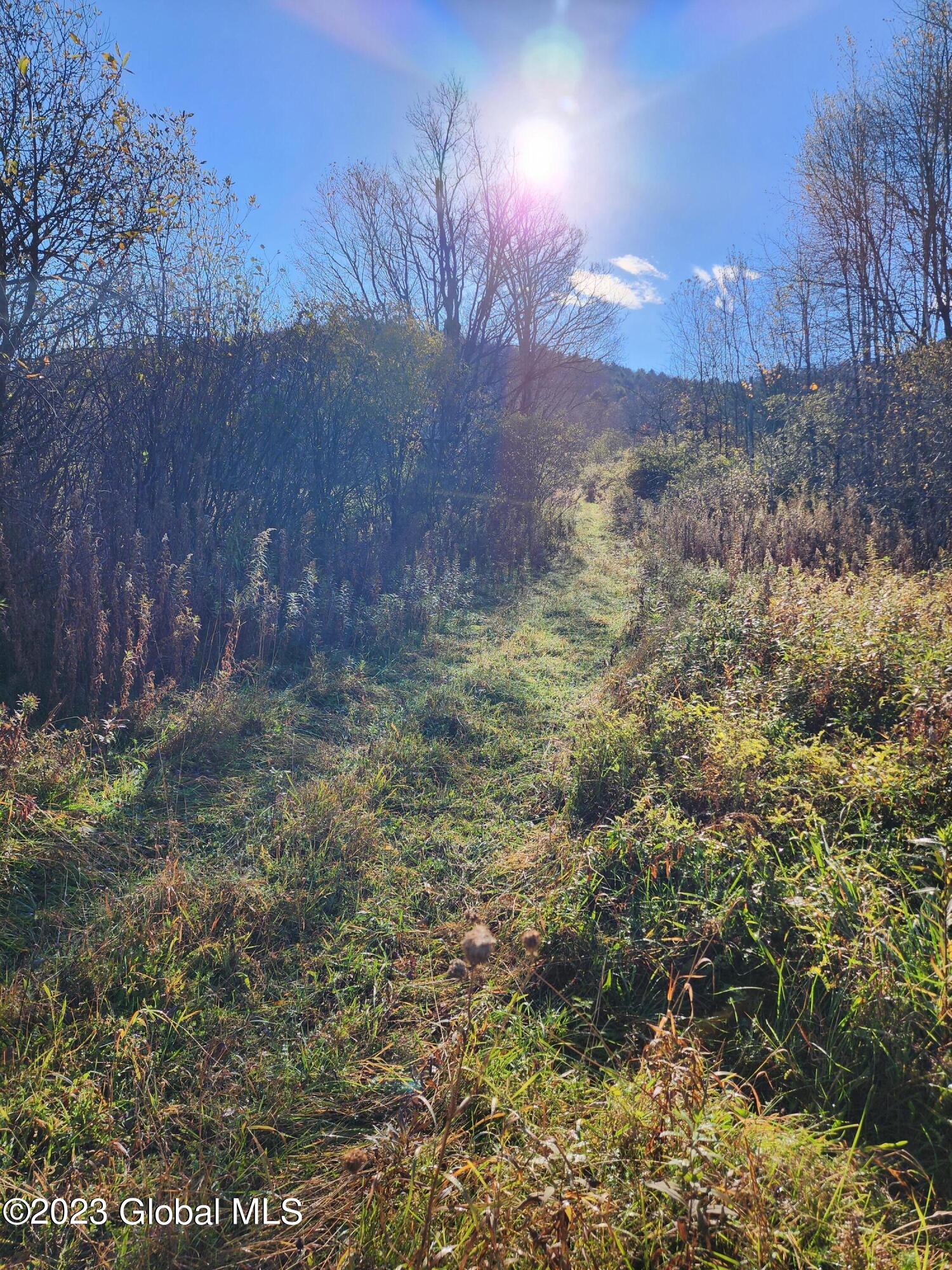 104 Willow Springs Rd Summit Charlotteville, NY 12036 - Photo 18 of 18 20231025_095018