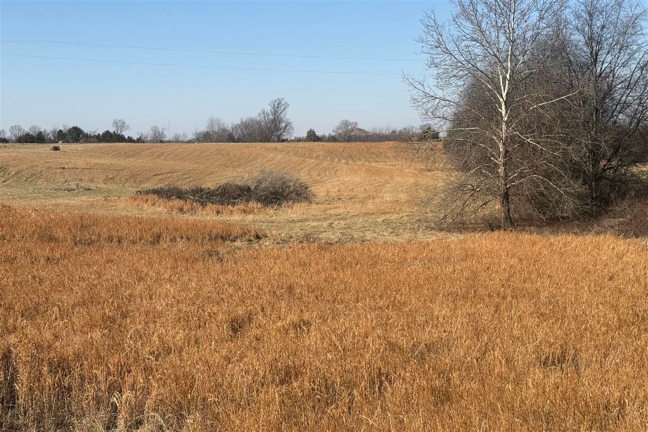 3 Roark Road Franklin, KY 42134 - Photo 2 of 3 Gallery Image 2