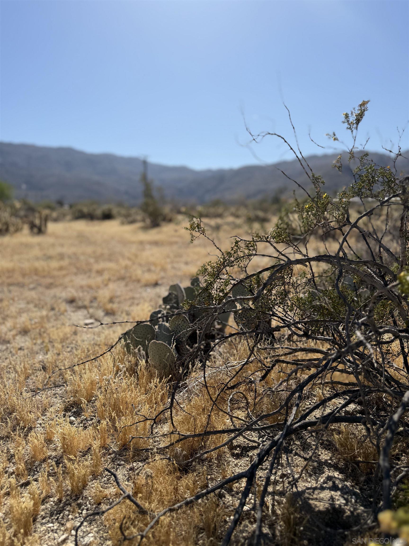 0 Broken Arrow Road, Unit 89 Borrego Springs, CA 92004 - Photo 9 of 10