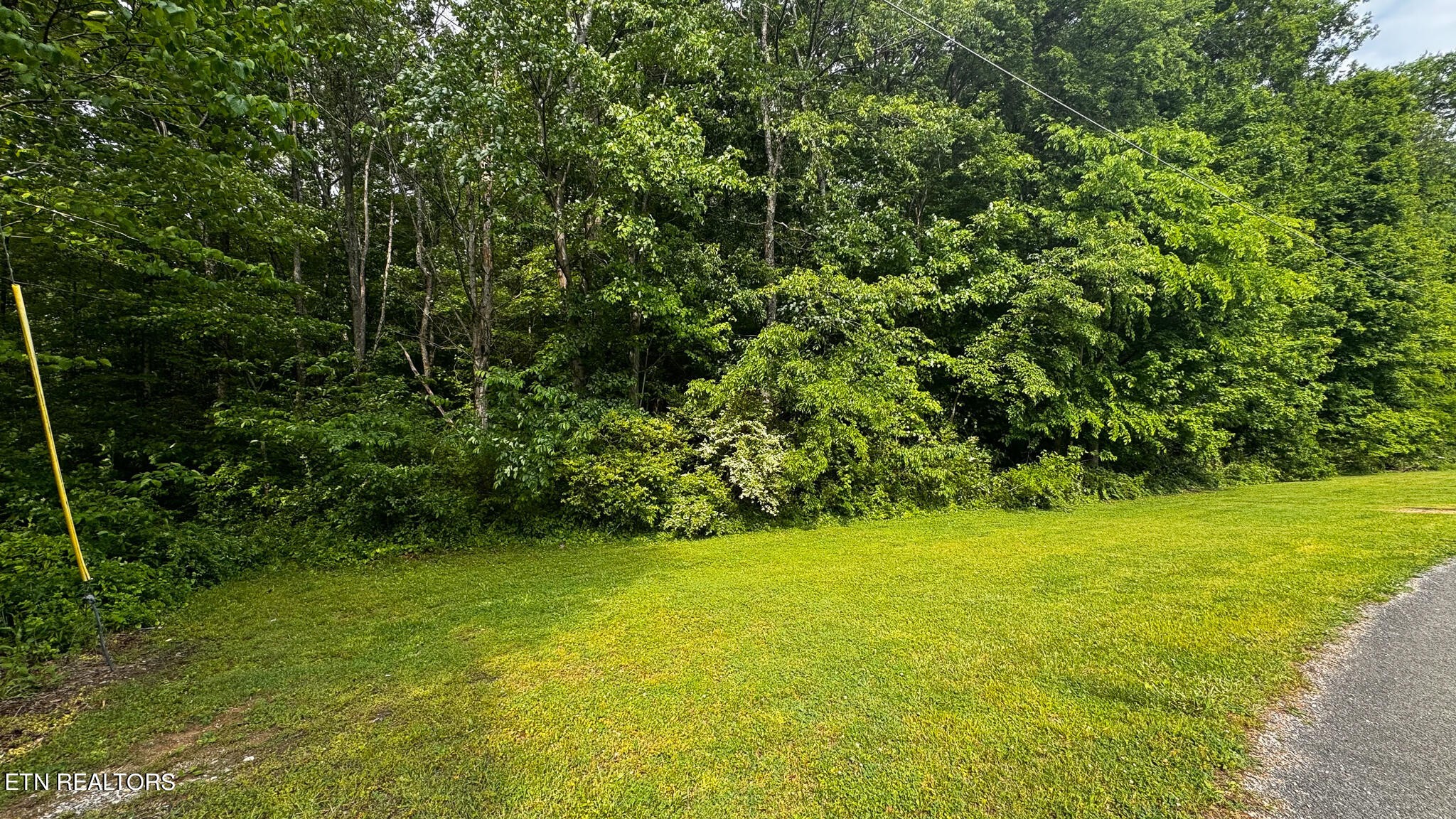 0 Alabama Avenue Delano, TN 37325 - Photo 1 of 5 a view of yard with green space