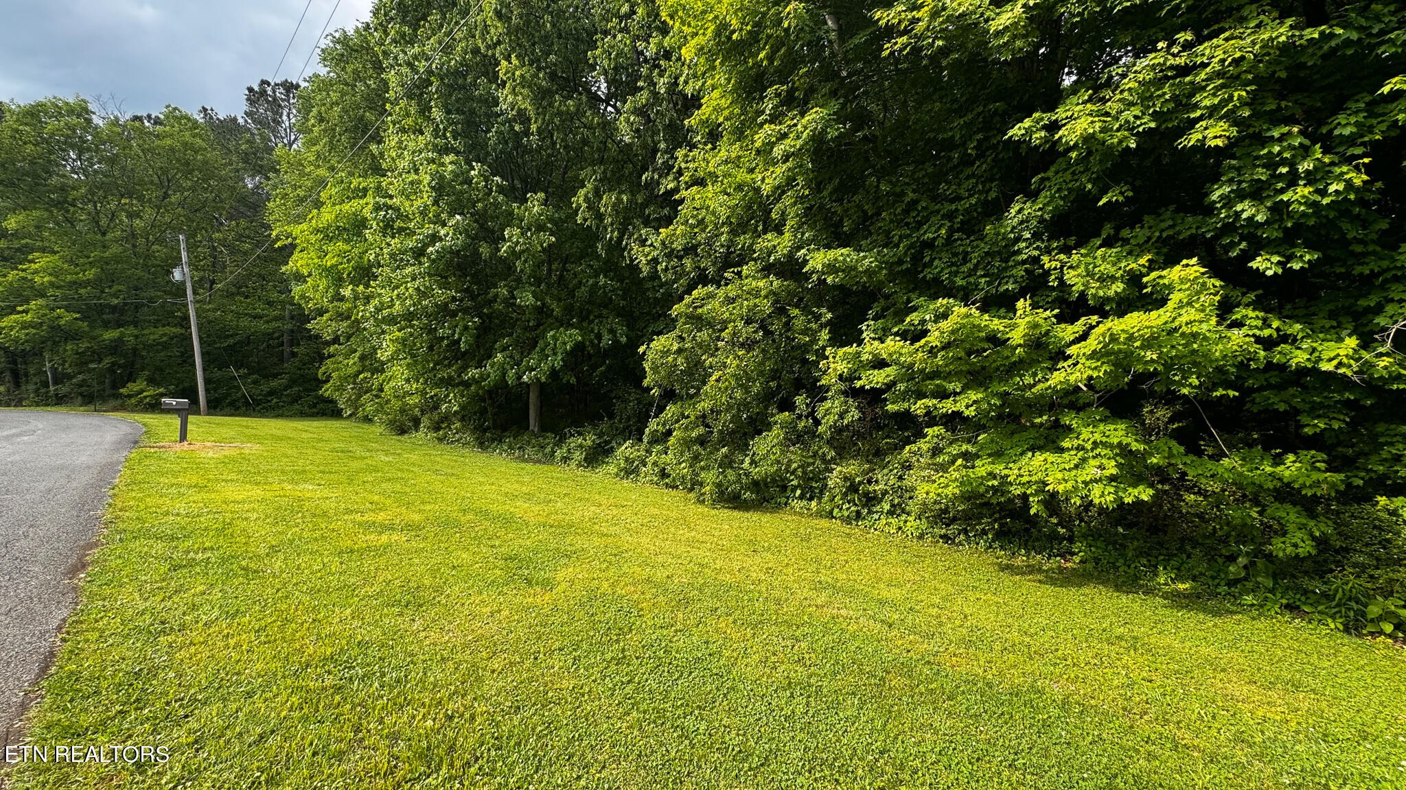 0 Alabama Avenue Delano, TN 37325 - Photo 2 of 5 a view of yard with green space