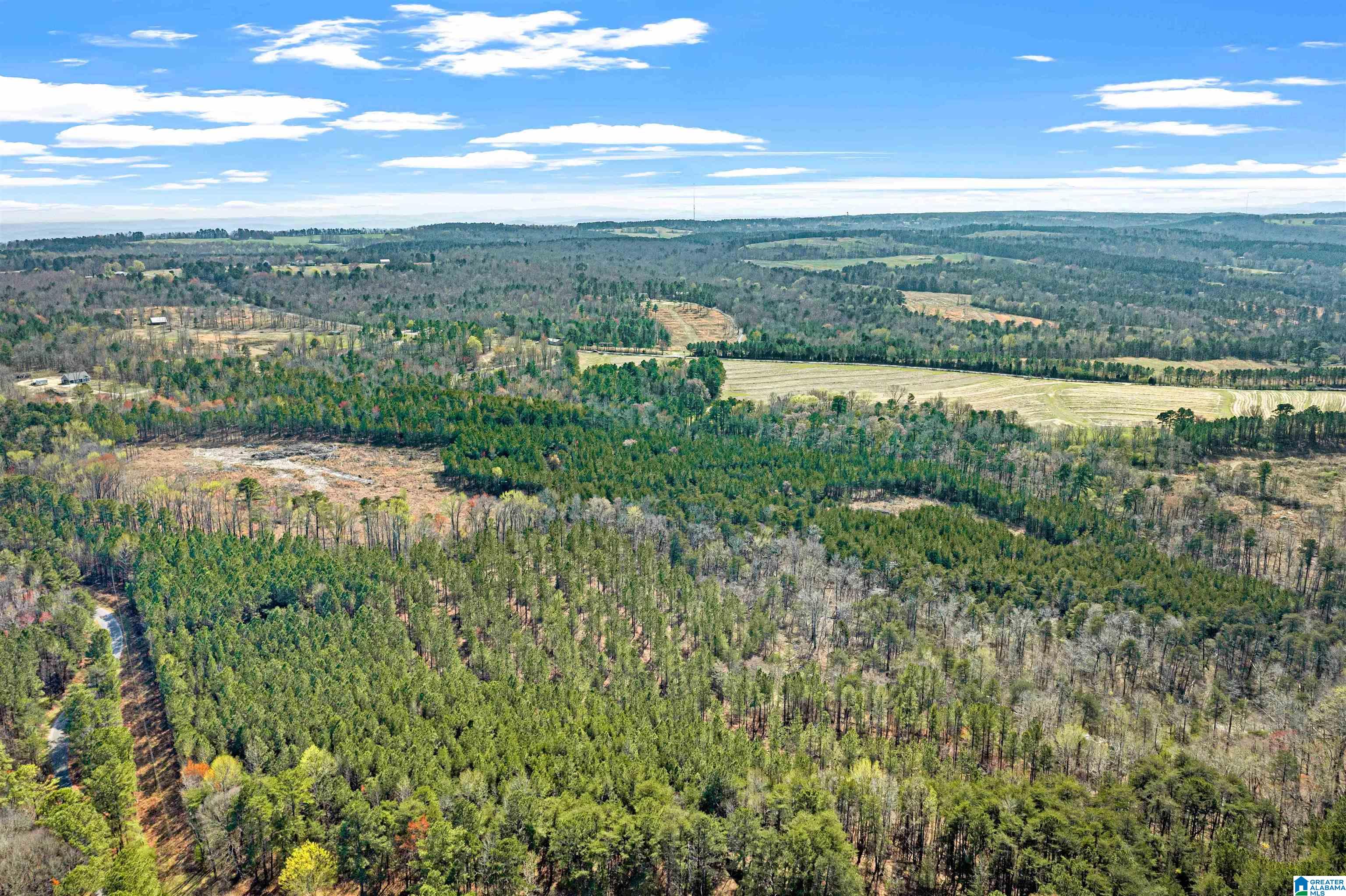 0 Frost Road, Unit 100 / ACRES Springville, AL 35146 - Photo 38 of 60