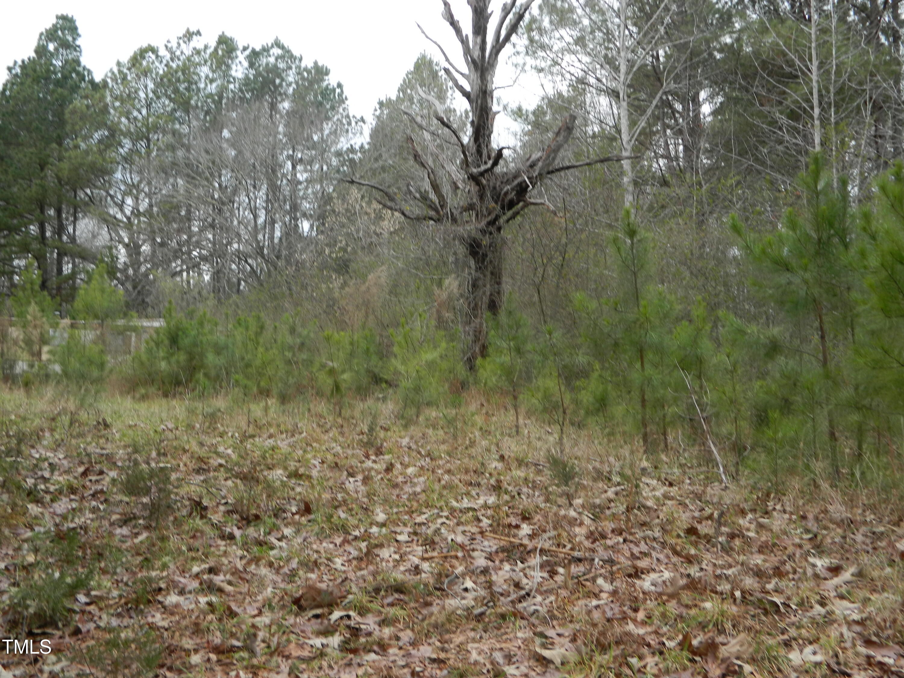 7059 Cornwall Road Oxford, NC 27565 - Photo 11 of 11 DSCN4399