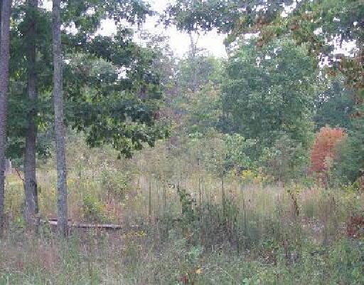 655 Diamond Hill Road Moneta, VA 24121 - Photo 1 of 1 a view of a forest with trees in the background