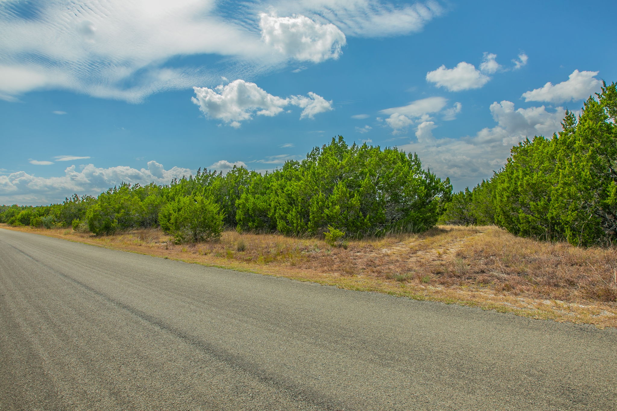 76 Balcones Ridge Way Bertram, TX 78605 - Photo 5 of 16 Mature green trees line the paved road under a blue sky with scattered clouds.