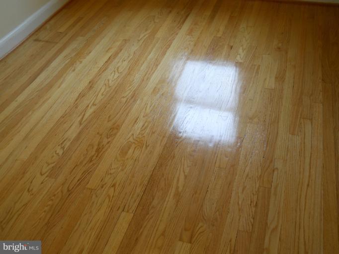4332 Cedar Garden Road Baltimore, MD 21229 - Photo 21 of 27 floors
