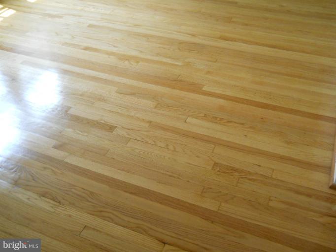 4332 Cedar Garden Road Baltimore, MD 21229 - Photo 24 of 27 floors