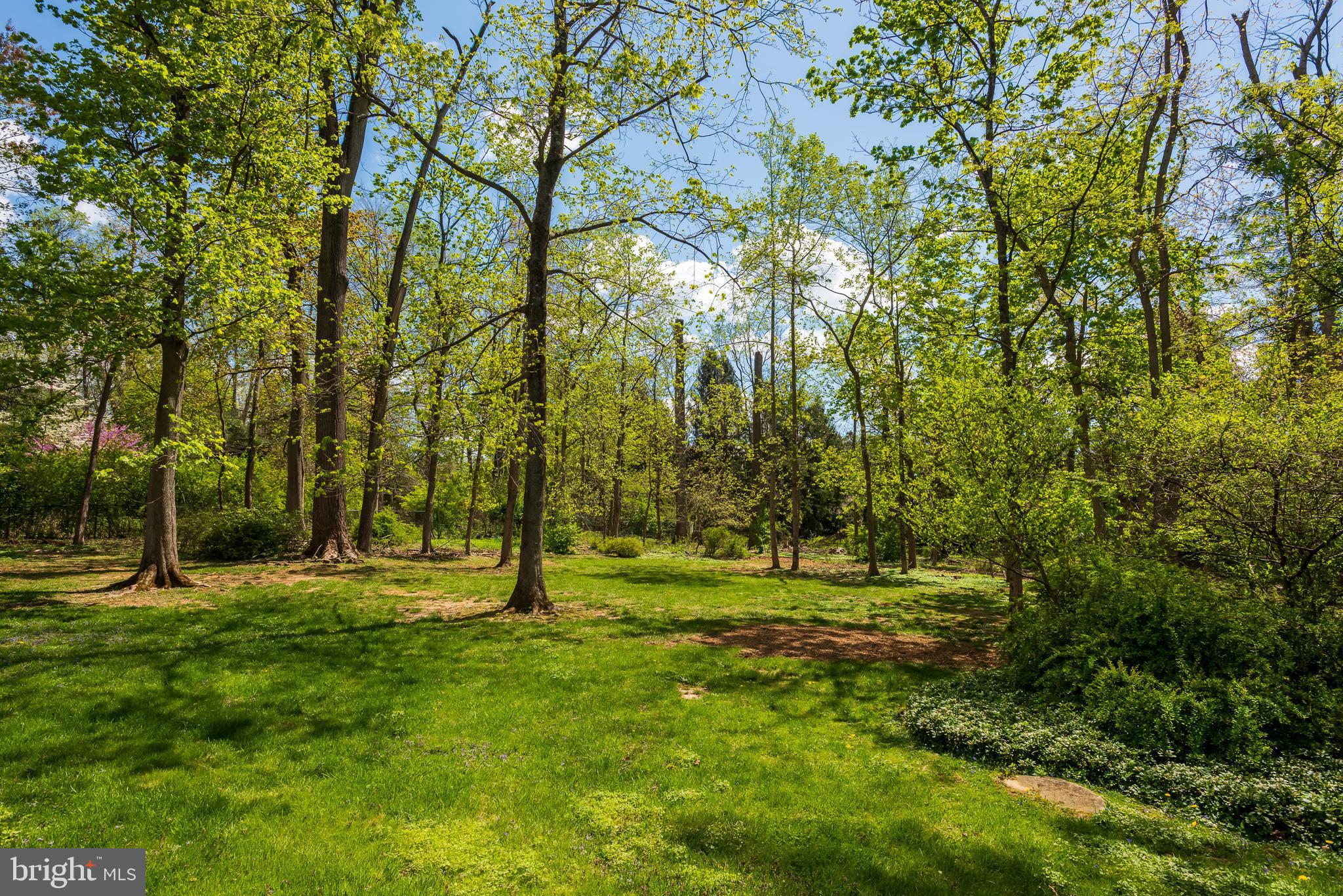 336 Chester Road Devon, PA 19333 - Photo 52 of 52