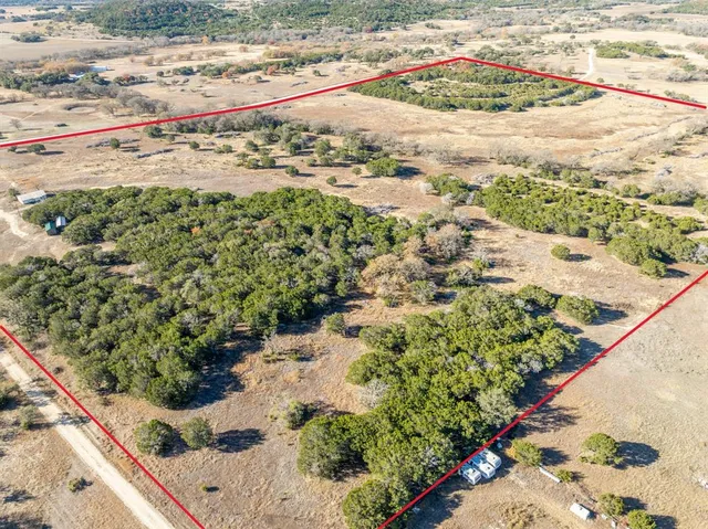 a view of a yard with a tree
