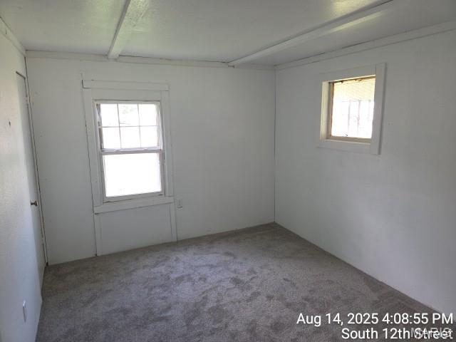 110 South 12th Street Wood River, IL 62095 - Photo 4 of 5