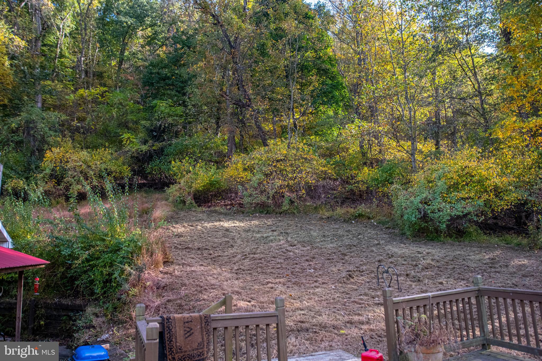 71 Woodbine Road Lewistown, PA 17044 - Photo 10 of 44 a view of a yard with plants and a bench