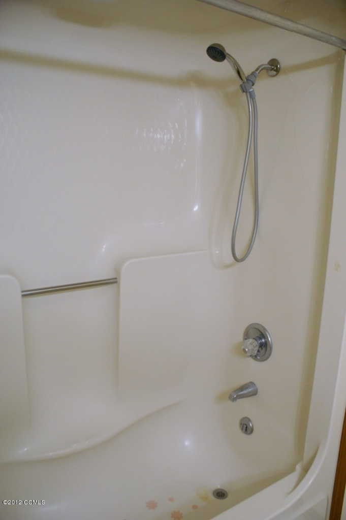 167 Peletier Loop Road Swansboro, NC 28584 - Photo 16 of 29 Shower Area