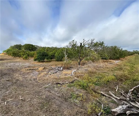 a view of a lake with green space