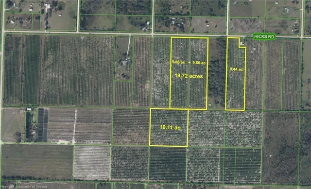 a view of a yard with plants and a trees