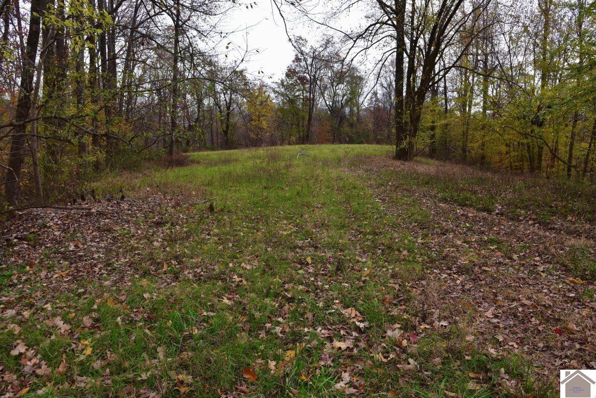 0 Beech Grove Road Hickman, KY 42050 - Photo 3 of 35 Photo 3