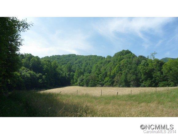 999 South Fork Road Marshall, NC 28753 - Photo 2 of 5 Gallery Image 2
