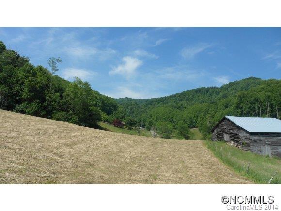 999 South Fork Road Marshall, NC 28753 - Photo 4 of 5 Gallery Image 4