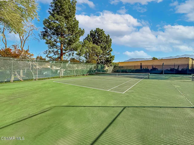 a view of a swimming pool with a yard and plants