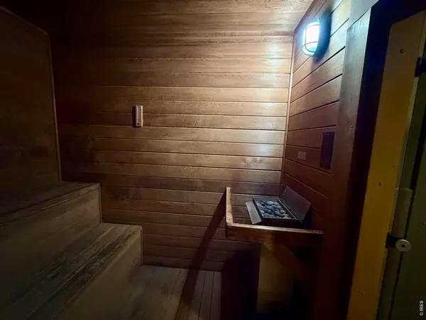 a view of a yard with plants and trees