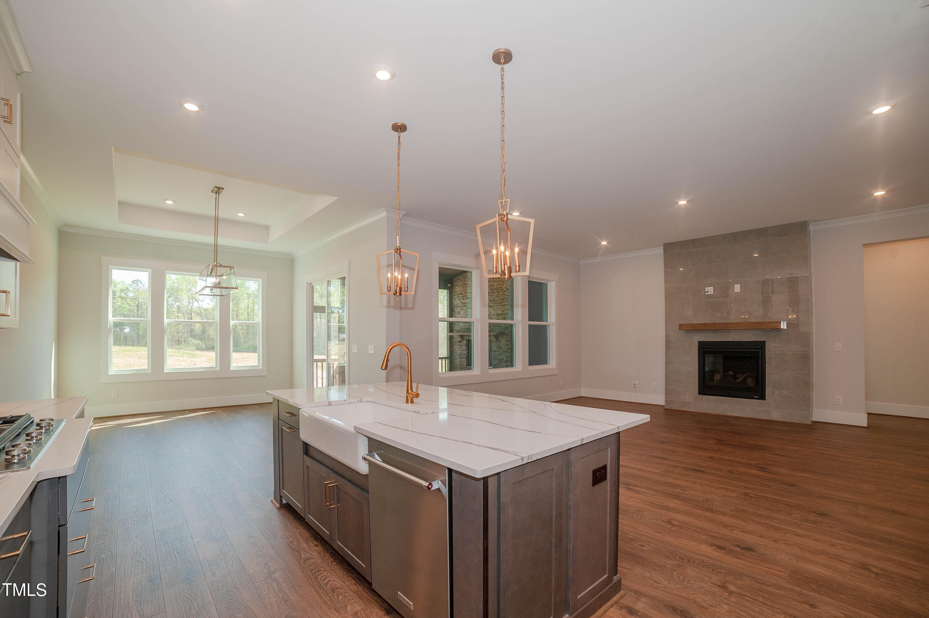 73 Streamside Drive Angier, NC 27501 - Photo 36 of 50 WFDS-0097-00_Sebastian K_Kitchen c