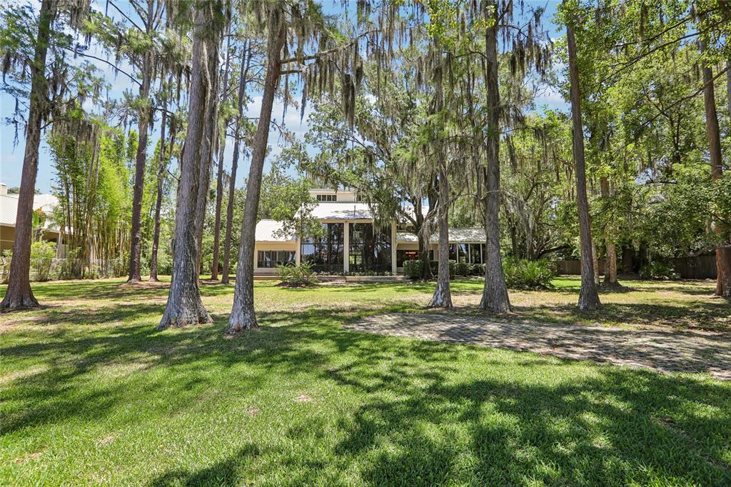 17810 Crawley Road Odessa, FL 33556 - Photo 57 of 76 a view of a tree in a yard