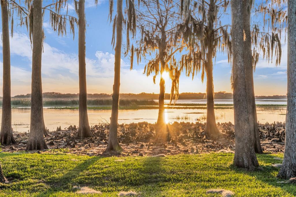 1425 Riviera Drive Kissimmee, FL 34744 - Photo 56 of 82