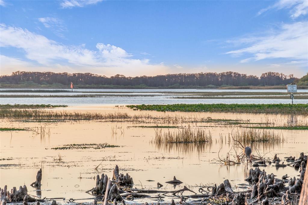 1425 Riviera Drive Kissimmee, FL 34744 - Photo 58 of 82