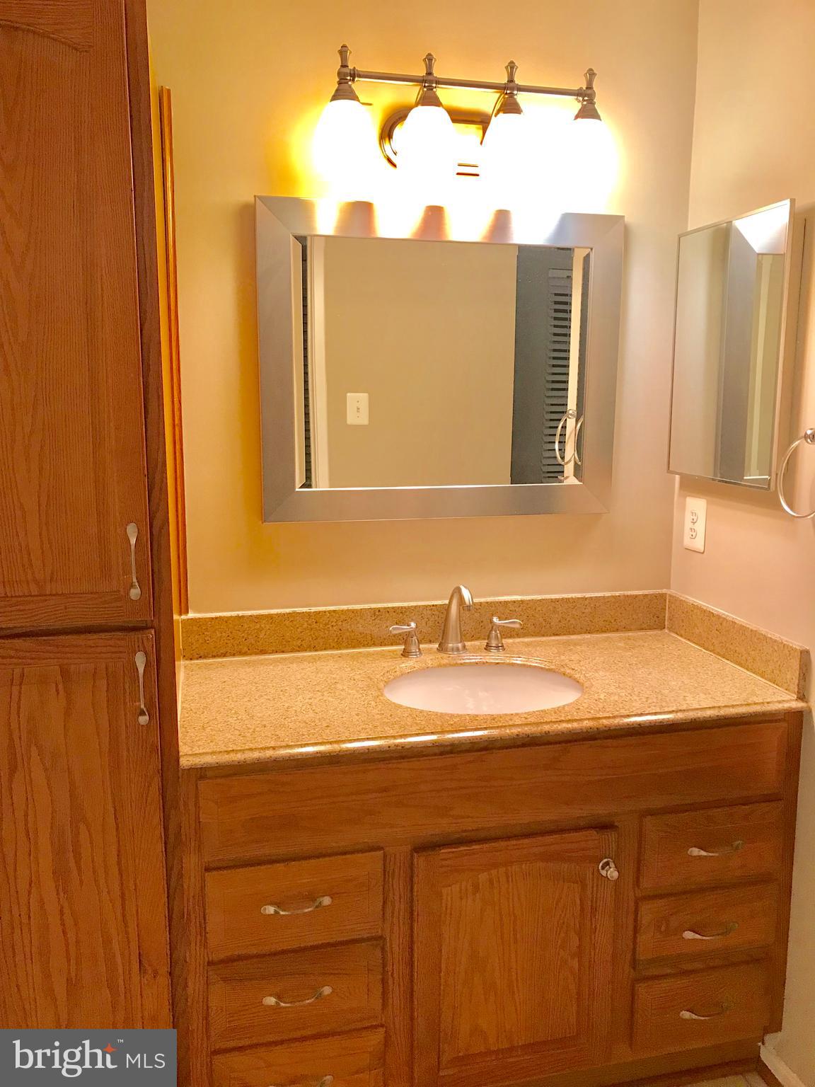 7702 Lexton Place, Unit 65 Springfield, VA 22152 - Photo 21 of 24 a bathroom with a sink and a mirror