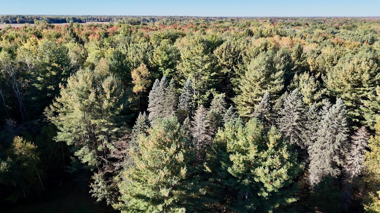 6945 Ward Road Sterling, MI 48659 - Photo 48 of 65 048