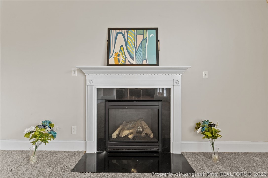 2724 Plum Ridge Road Fayetteville, NC 28306 - Photo 24 of 48