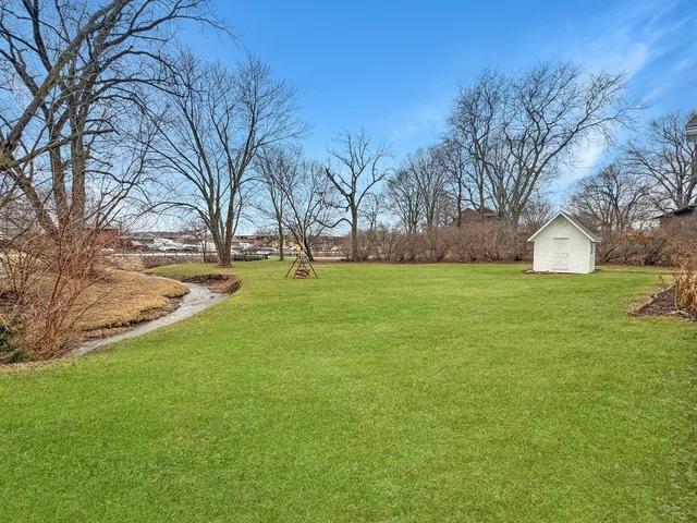 a view of a tree in a field