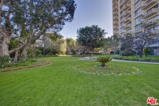 a view of a park with large trees