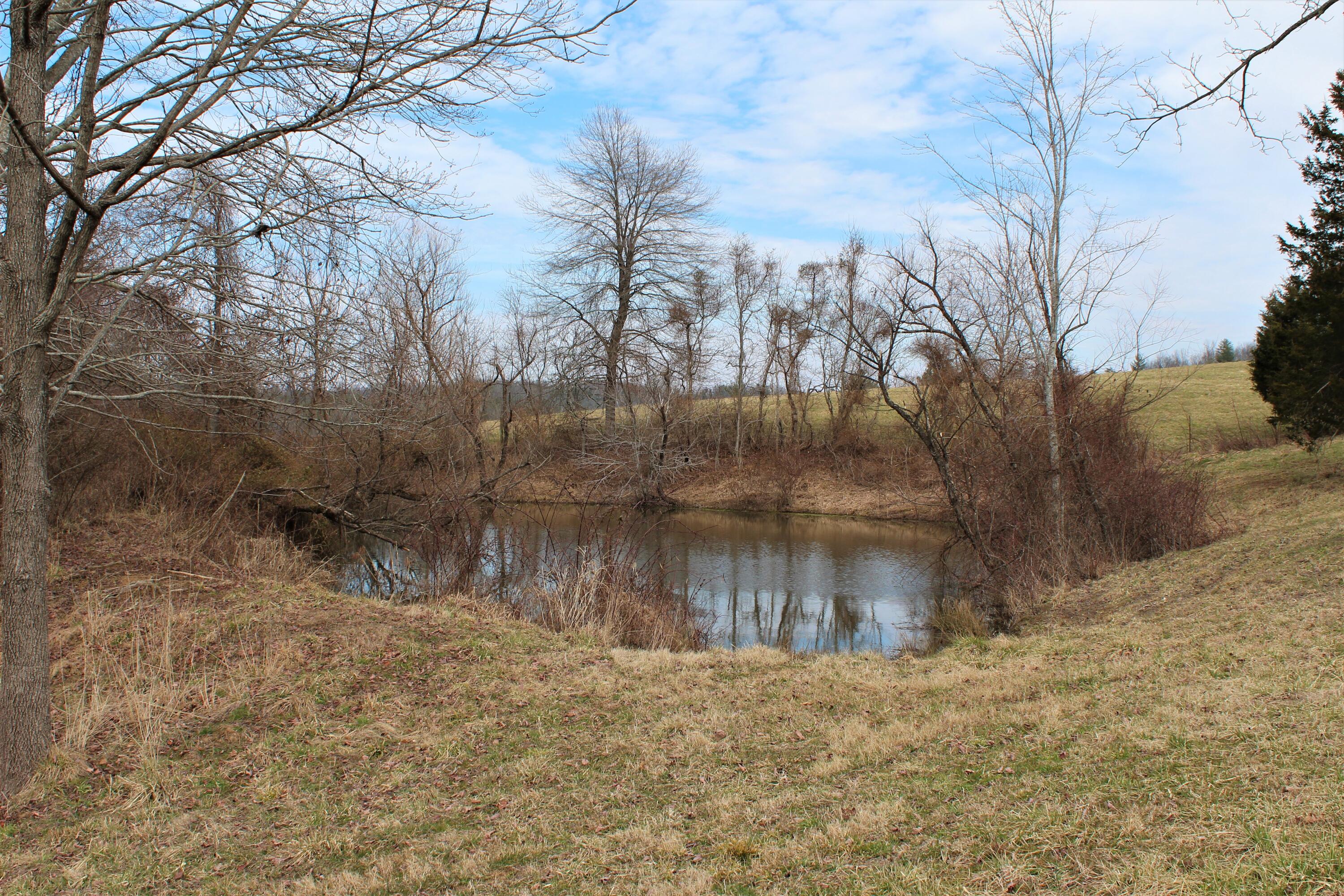 1245 North Shady Lane Road Campton, KY 41301 - Photo 34 of 96 035 another of the small ponds in the up