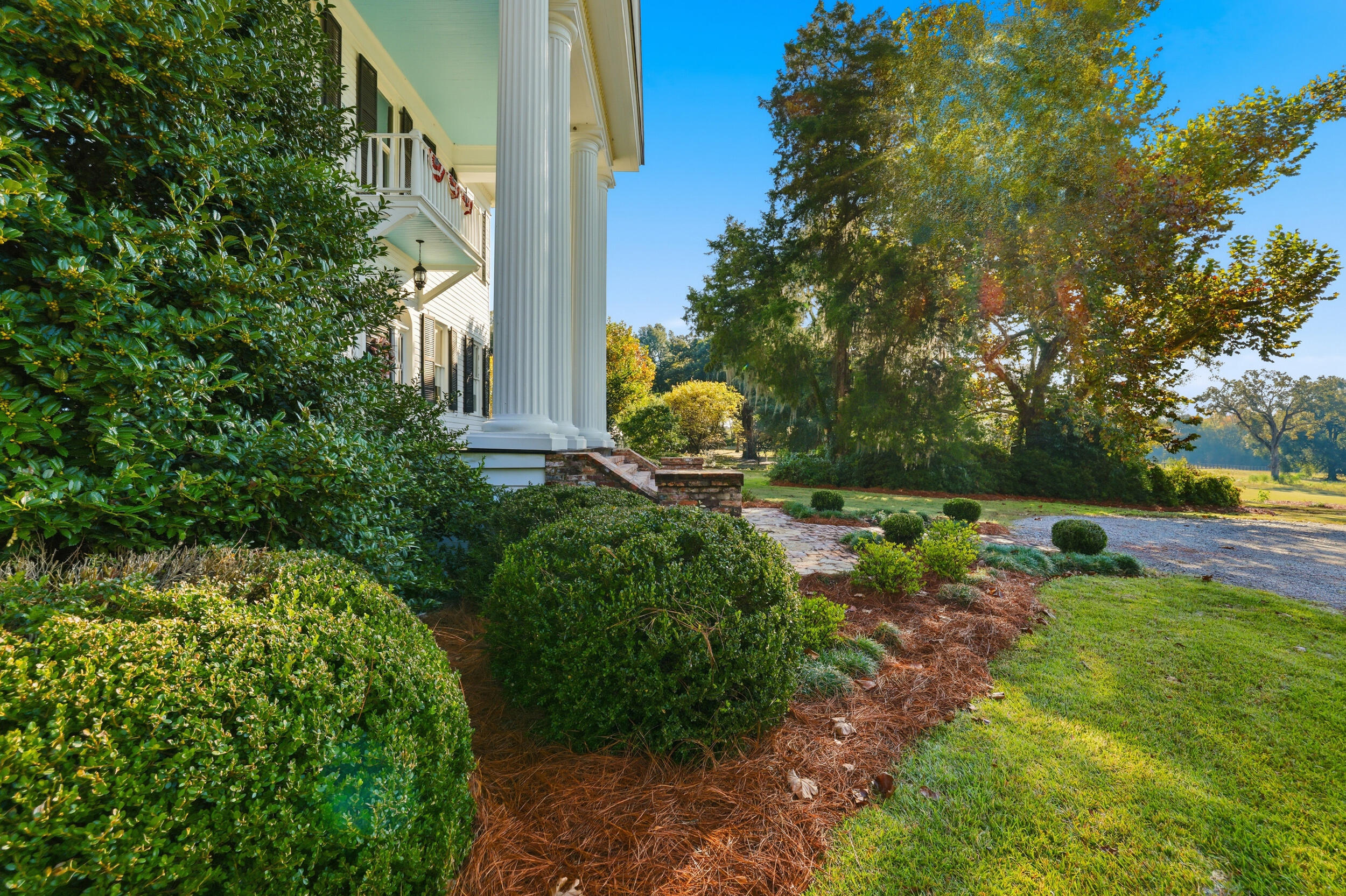 3954 Silver Bluff Road Jackson, SC 29831 - Photo 5 of 41 10_tg5_7981