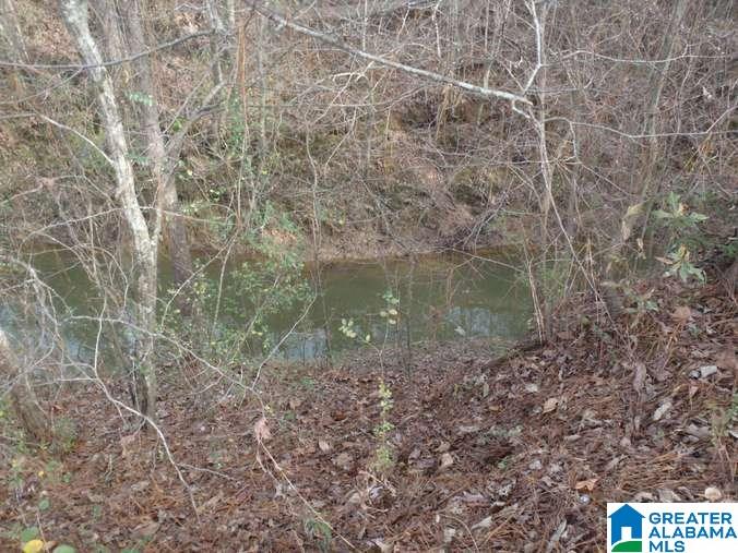 6510 Glovers Ferry Road Alpine, AL 35014 - Photo 15 of 25
