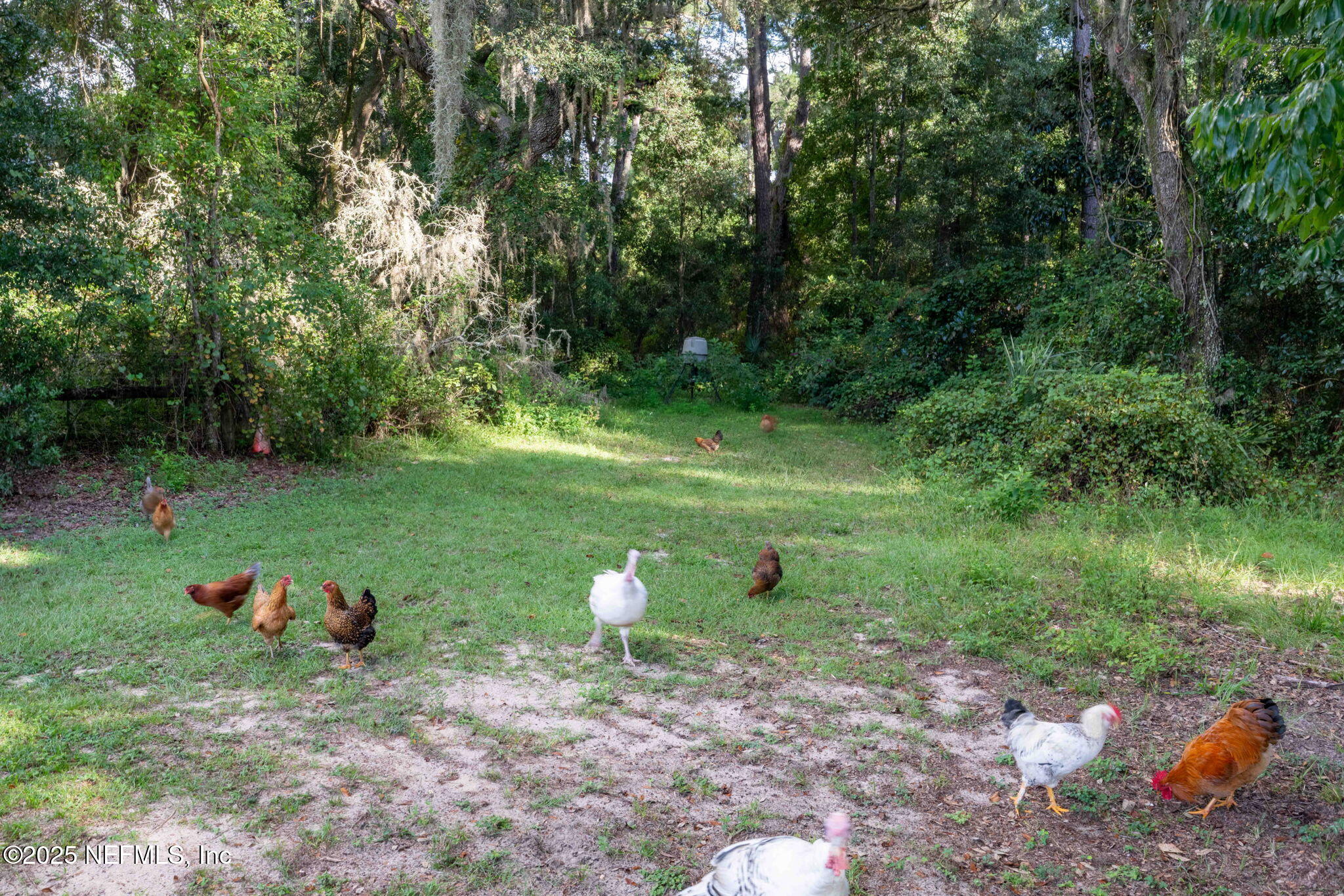 105 Dairy Road Melrose, FL 32666 - Photo 6 of 91 89