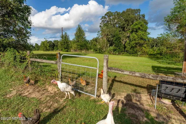 $750,000 | 105 Dairy Road, Melrose, FL 32666