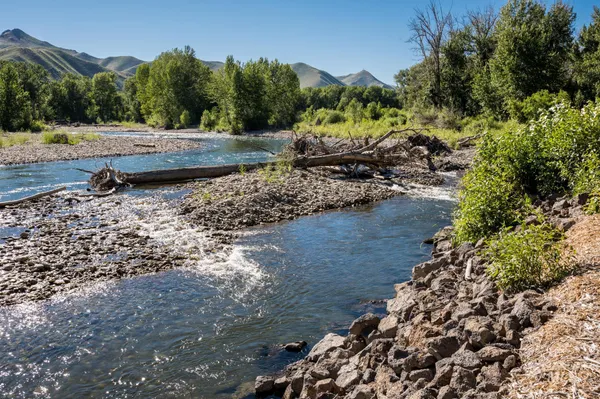 $1,950,000 | 100 Trout Lane, Bellevue, ID 83313