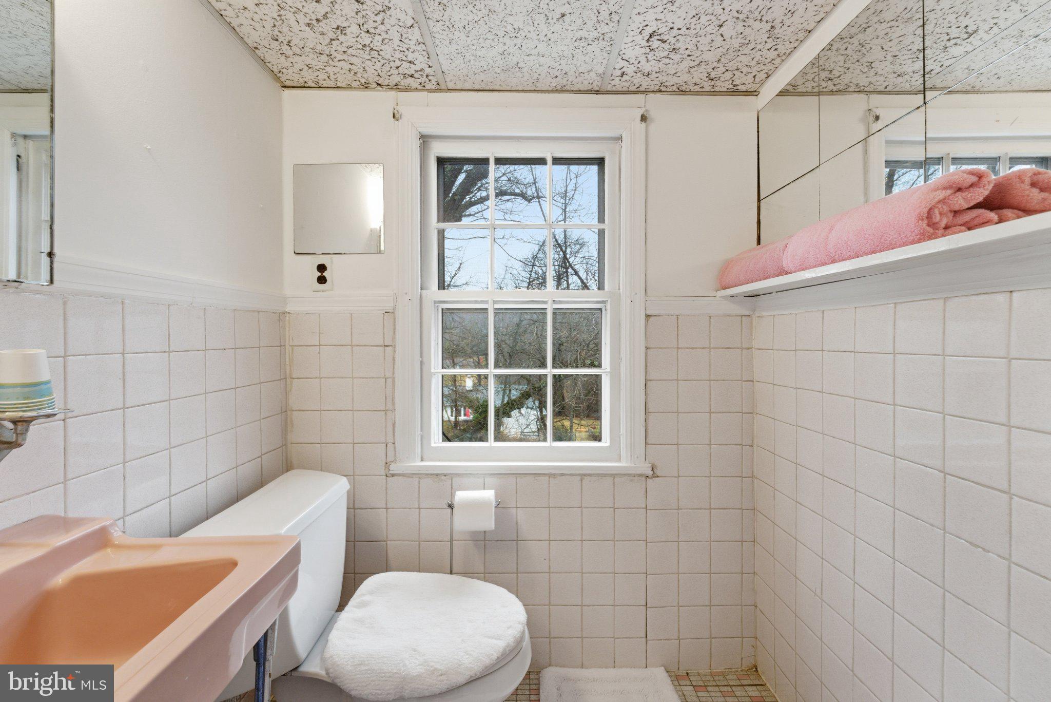 1724 Overlook Drive Silver Spring, MD 20903 - Photo 42 of 57 Charming bathroom with natural light.