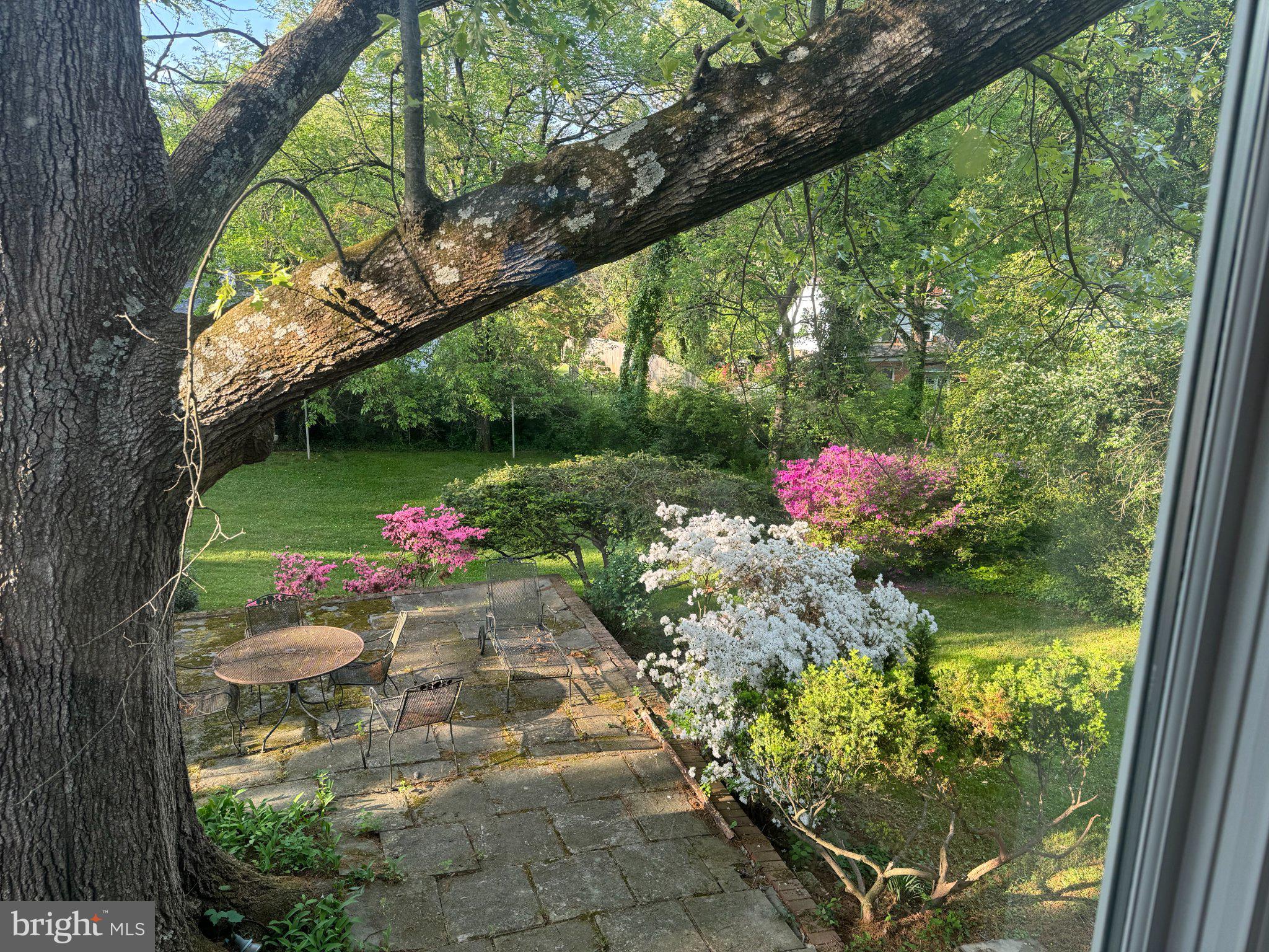 1724 Overlook Drive Silver Spring, MD 20903 - Photo 48 of 57 Serene garden oasis in bloom.