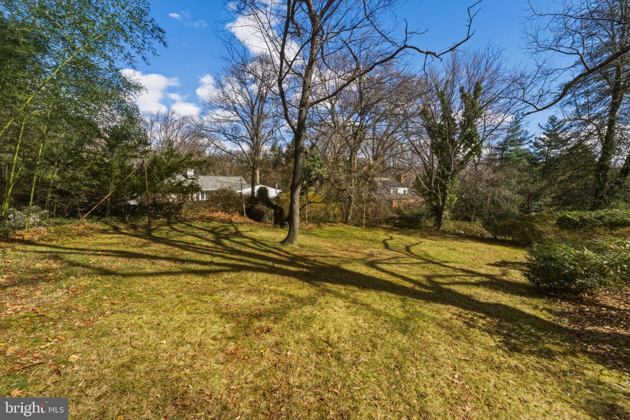 1724 Overlook Drive Silver Spring, MD 20903 - Photo 50 of 57 Serene backyard with dancing shadows.