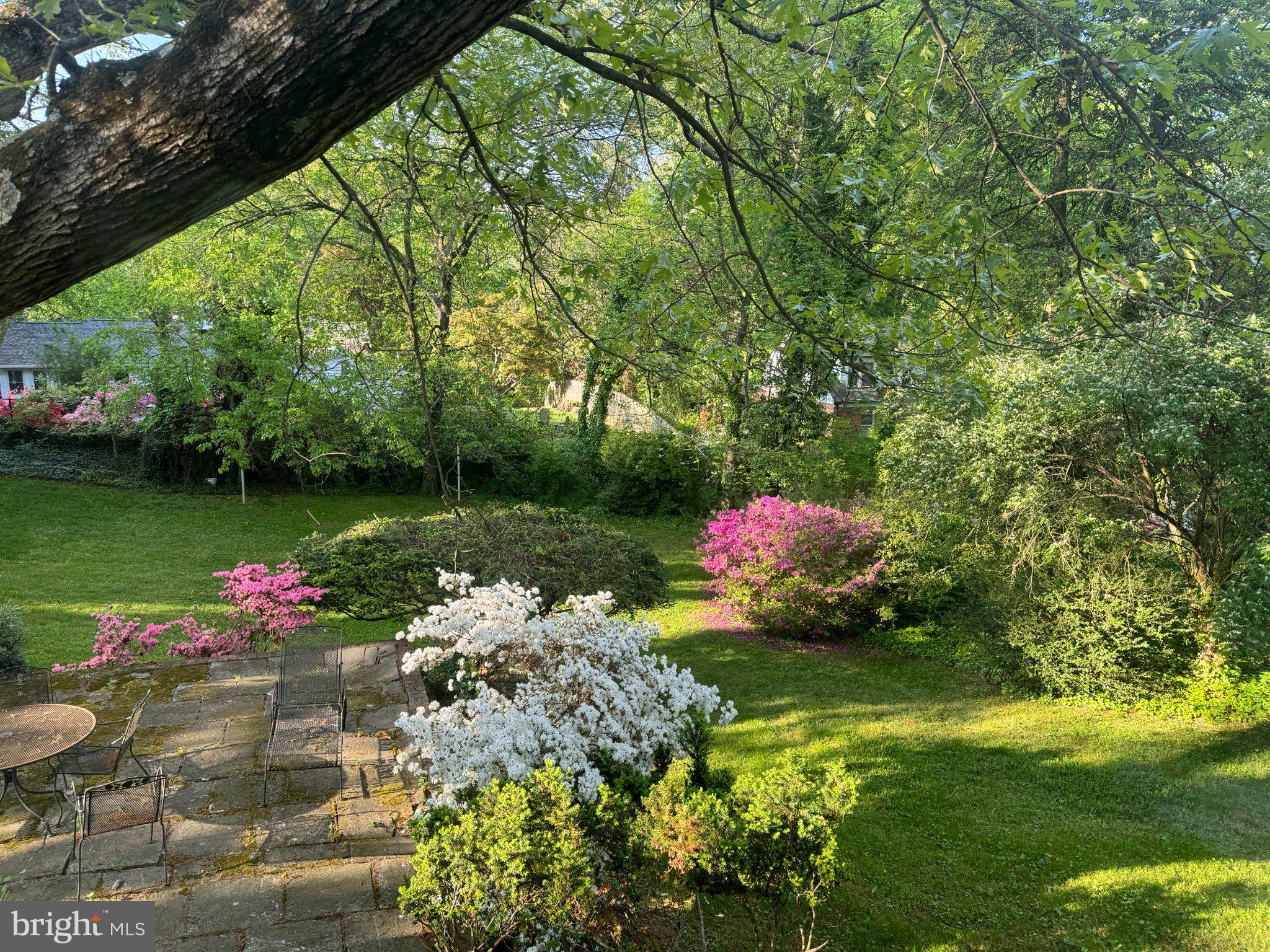 1724 Overlook Drive Silver Spring, MD 20903 - Photo 51 of 57 Serene garden blooms in springtime.