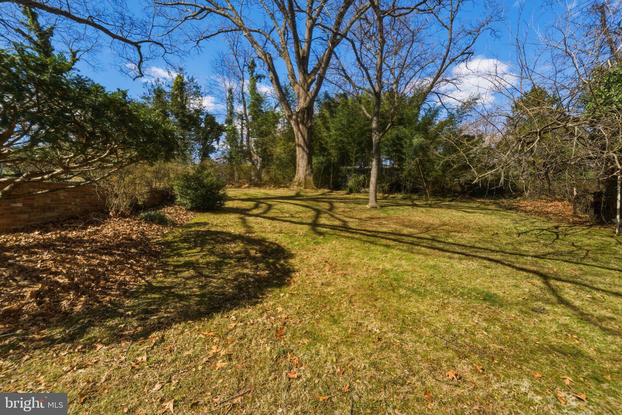 1724 Overlook Drive Silver Spring, MD 20903 - Photo 53 of 57 Spacious yard with dappled sunlight.