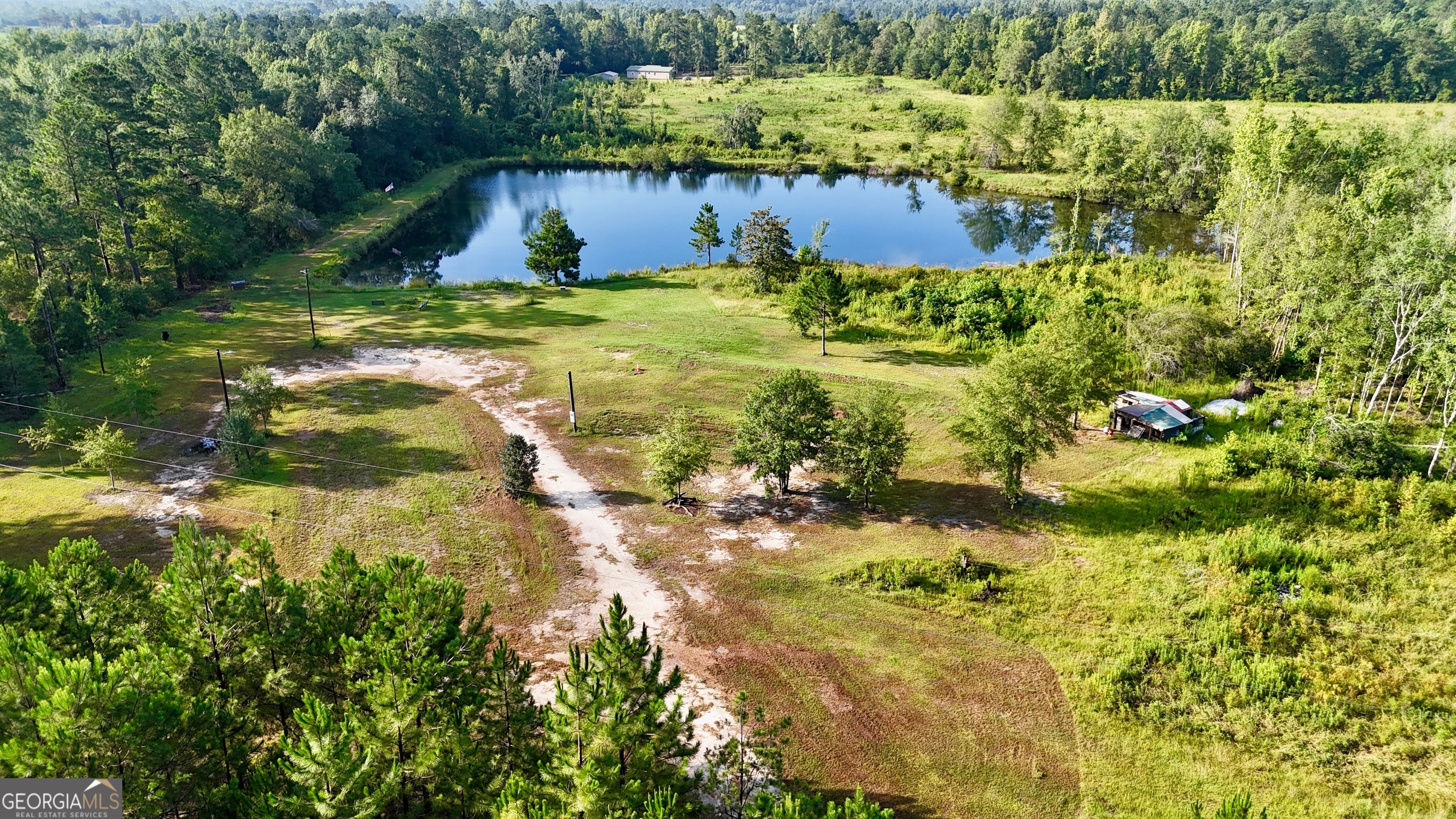 503 Alton Lawson Road Adrian, GA 31002 - Photo 12 of 15 a view of lake view