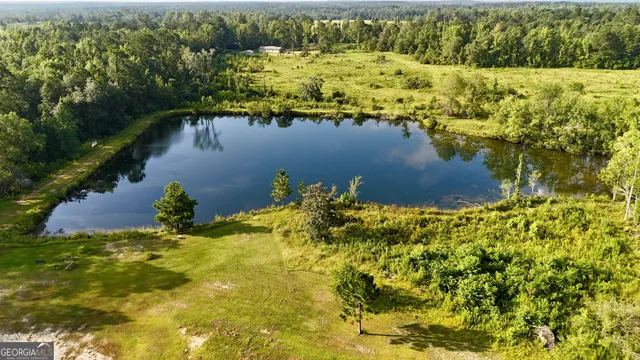 $109,900 | 503 Alton Lawson Road, Adrian, GA 31002