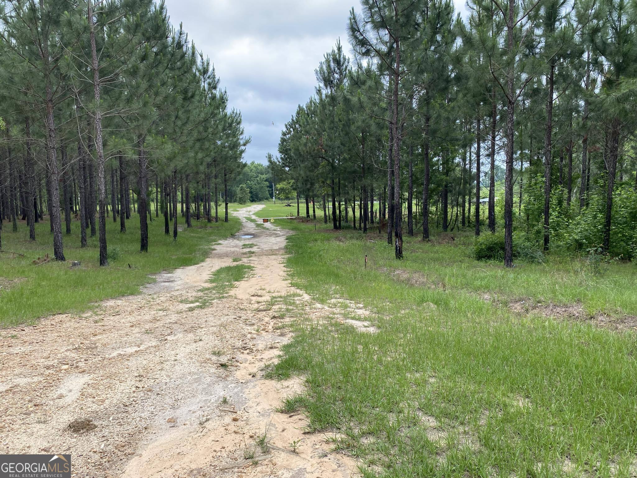 503 Alton Lawson Road Adrian, GA 31002 - Photo 2 of 15 a view of a park