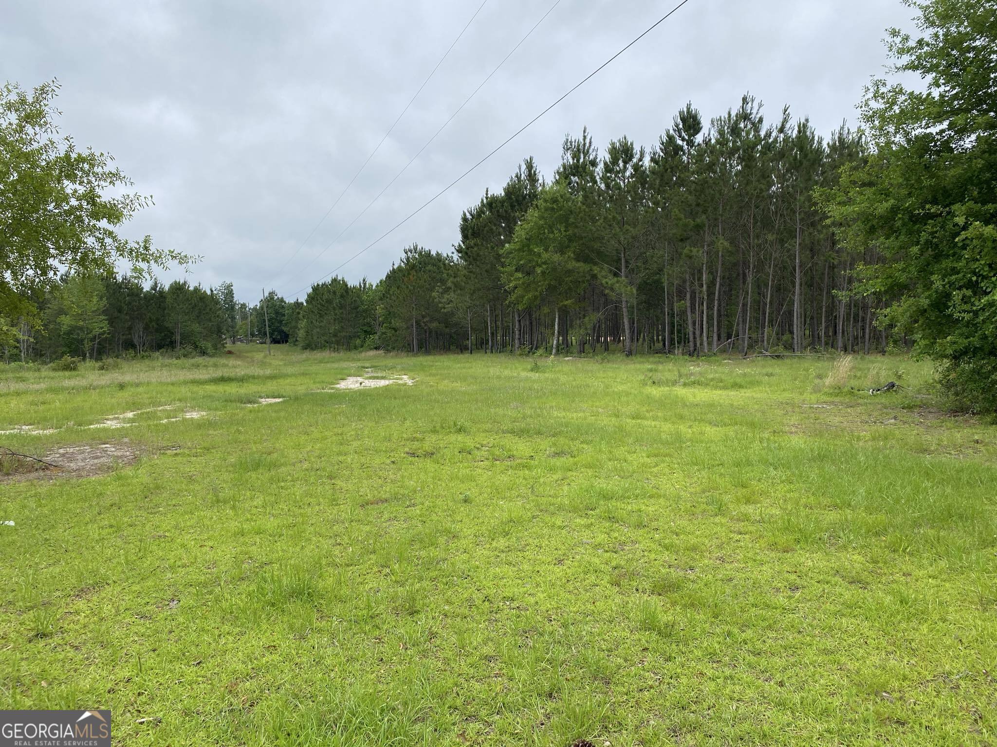 503 Alton Lawson Road Adrian, GA 31002 - Photo 3 of 15 a view of outdoor space with green field and trees all around