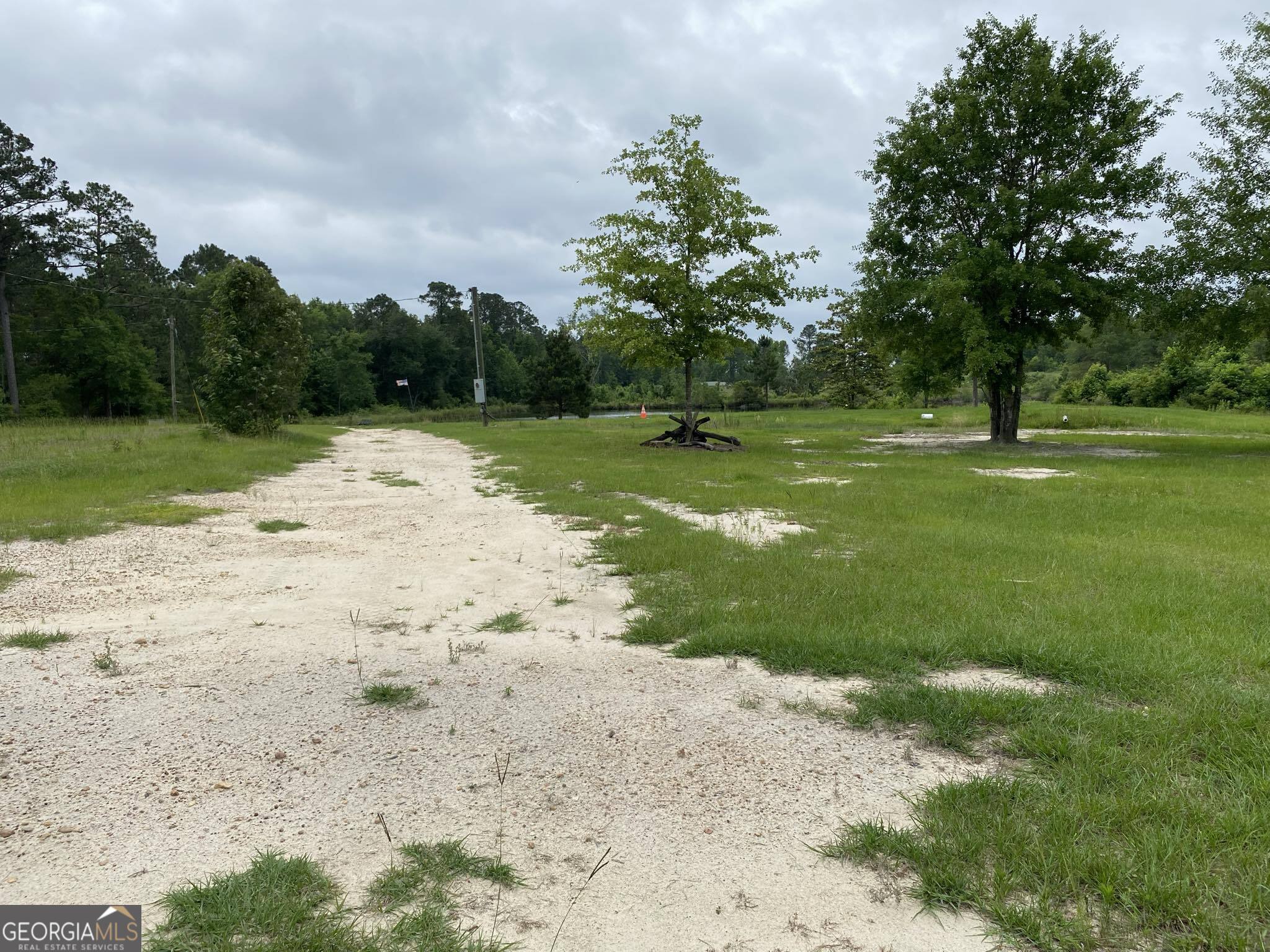 503 Alton Lawson Road Adrian, GA 31002 - Photo 4 of 15 a view of a yard with a large trees