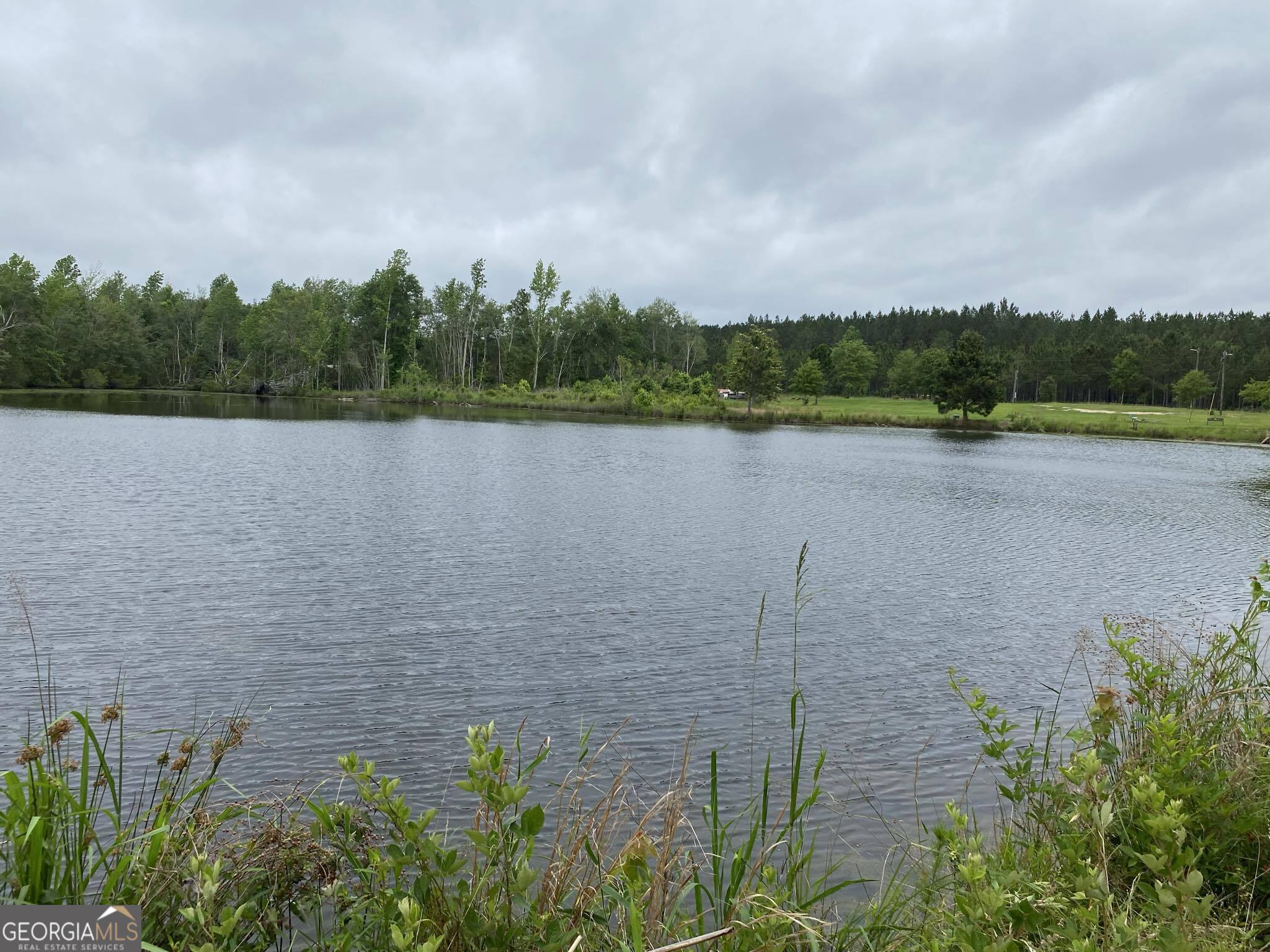 503 Alton Lawson Road Adrian, GA 31002 - Photo 5 of 15 a view of lake